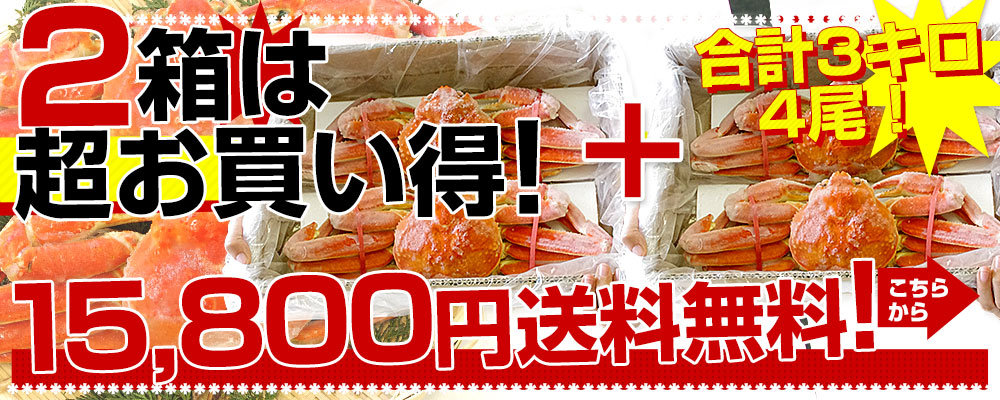 ずわい2箱セット