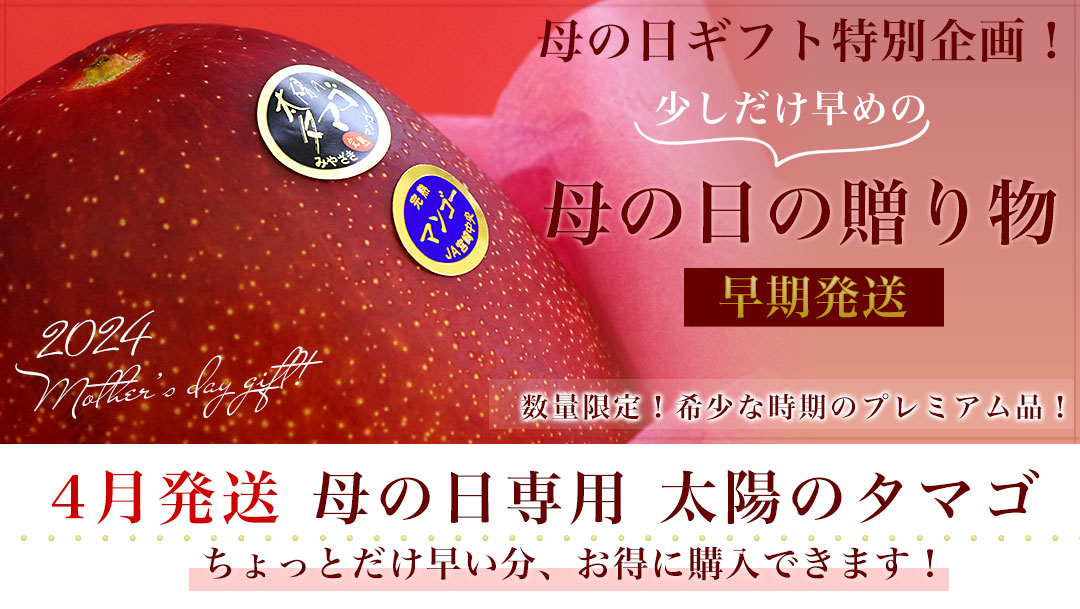 ちゃちゃ☘️長毛種猫ちゃんいます❤︎໒꒱　　宮崎完熟マンゴー　8玉　２.2k 楽天市場】”宮崎マンゴー” 秀品 超特大玉 4Lサイズ 2玉【予約 4