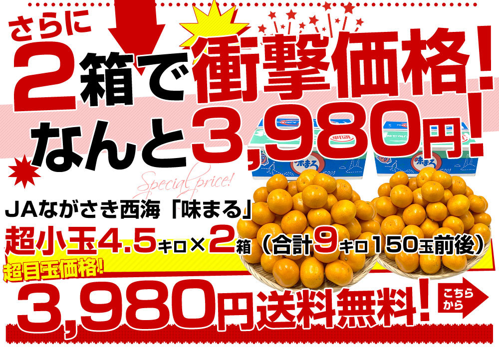 長崎県 JAながさき西海「味まる」2Sから3Sサイズ 超小粒4.5キロ 1箱