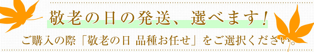 敬老の日発送時期選べます