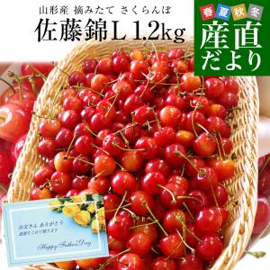 【父の日ギフト】 山形県より産地直送! さくらんぼ 佐藤錦 ○秀品 大ボリューム1.2キロ Lサイズ(300g×4パック) 送料無料 クール便 サクランボ 桜桃