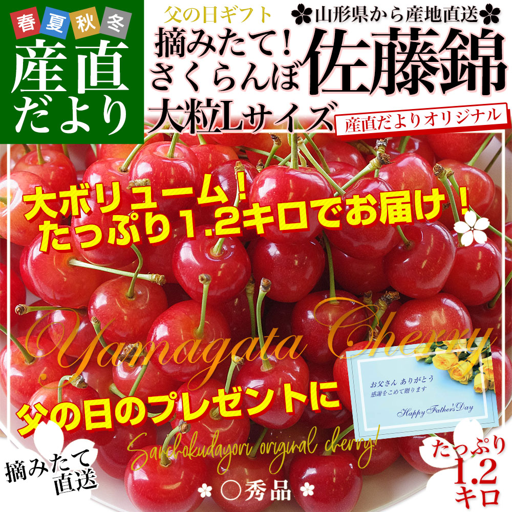 【父の日ギフト】 山形県より産地直送！ さくらんぼ 佐藤錦 ○秀品 大ボリューム1.2キロ Lサイズ（300g×4パック） 送料無料 クール便　サクランボ　桜桃 |  | 01