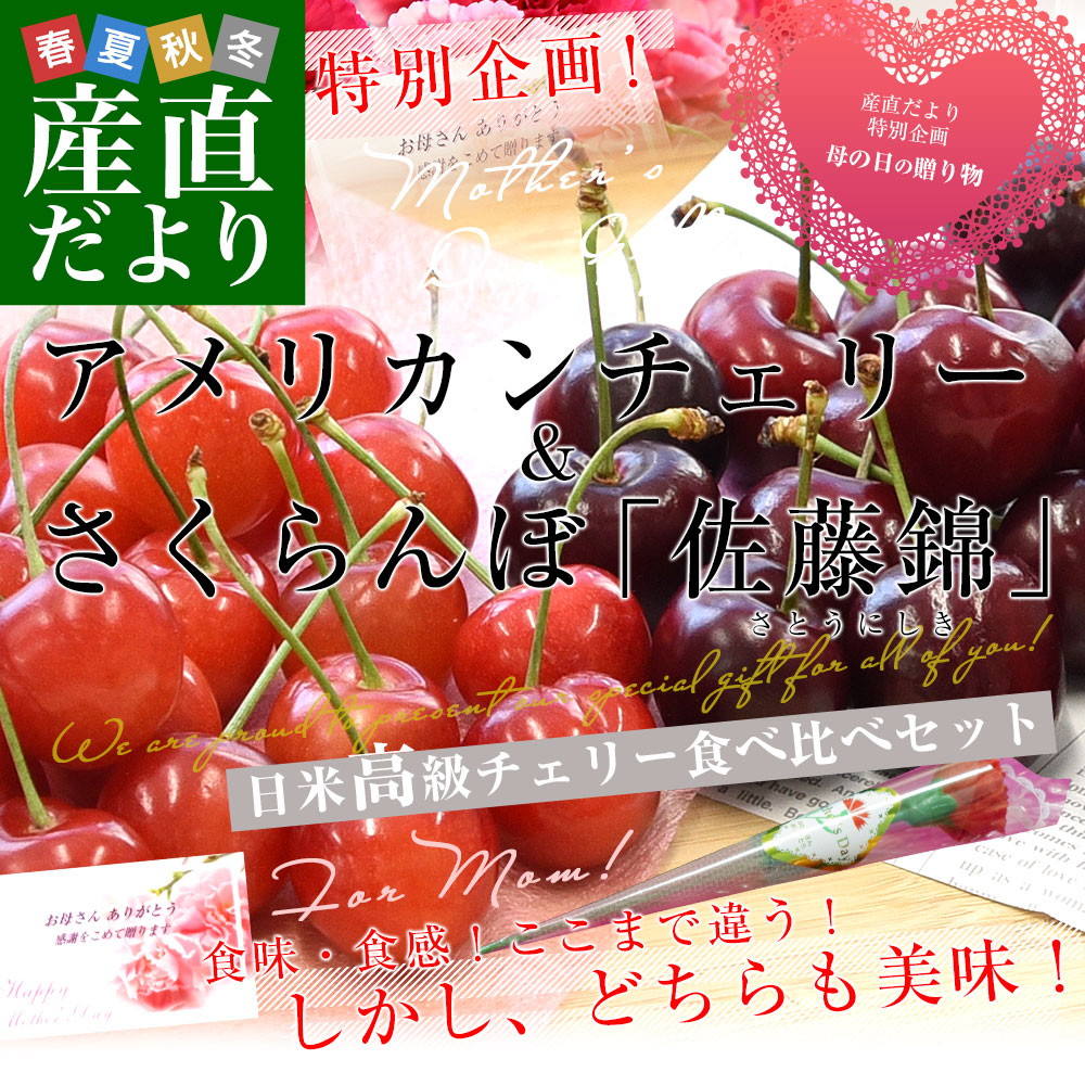 紅さやか、佐藤錦・アメリカンチェリー 3本セット 母の日ギフト まだ間に合う】チェリー食べ比べ アメリカンチェリー
