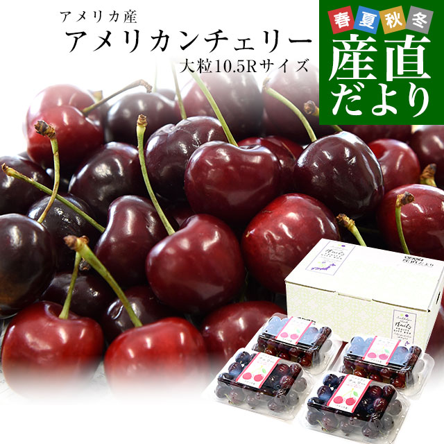 アメリカ産 アメリカンチェリー 大粒10.5Rサイズ 約800g（約200g