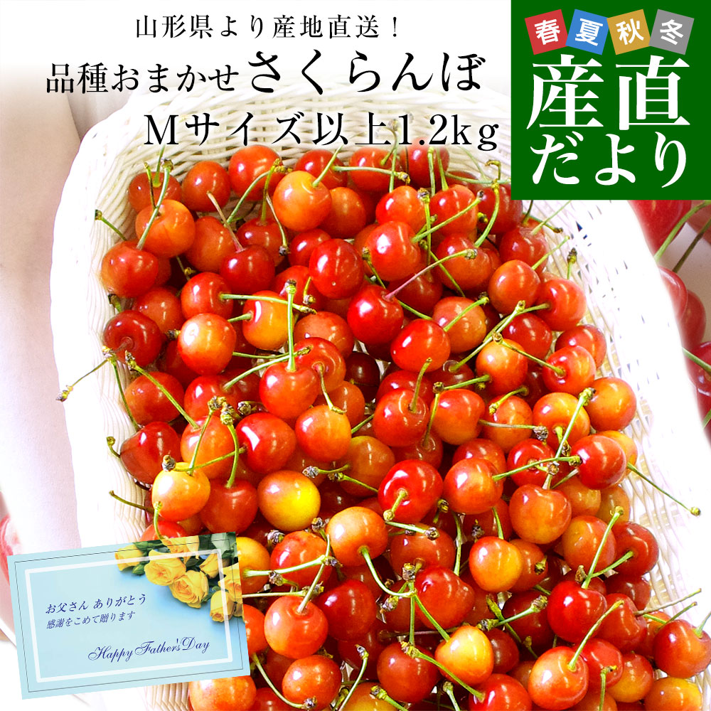 【父の日ギフト】山形県より産地直送！品種おまかせさくらんぼ ○秀品 大ボリューム1.2キロMサイズ以上（300g×4パック）桜桃　送料無料 クール便　サクランボ | 