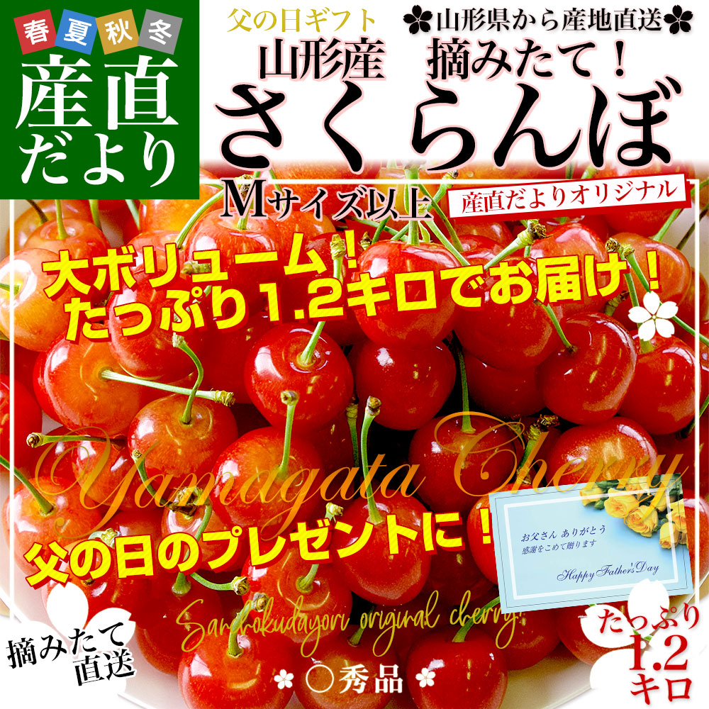 【父の日ギフト】山形県より産地直送！品種おまかせさくらんぼ ○秀品 大ボリューム1.2キロMサイズ以上（300g×4パック）桜桃　送料無料 クール便　サクランボ |  | 01