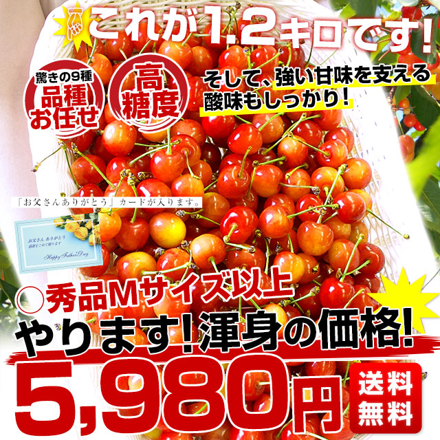 【父の日ギフト】山形県より産地直送！品種おまかせさくらんぼ ○秀品 大ボリューム1.2キロMサイズ以上（300g×4パック）桜桃　送料無料 クール便　サクランボ |  | 02