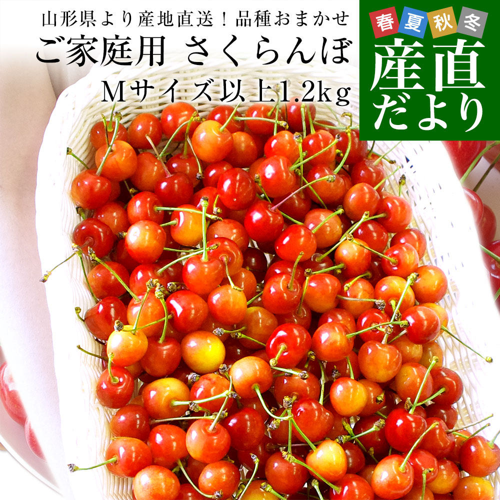 12月31日発送OK！　NZ産空輸生鮮桜桃1箱約2.0ｋｇ　チェリー、さくらんぼ 山形県より産地直送！品種おまかせ ご家庭用 さくらんぼ 大ボリューム