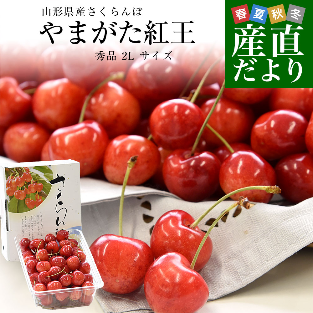 山形県より産地直送 さくらんぼ 「やまがた紅王」 秀品 2L サイズ約500g 送料無料 クール便 サクランボ桜桃