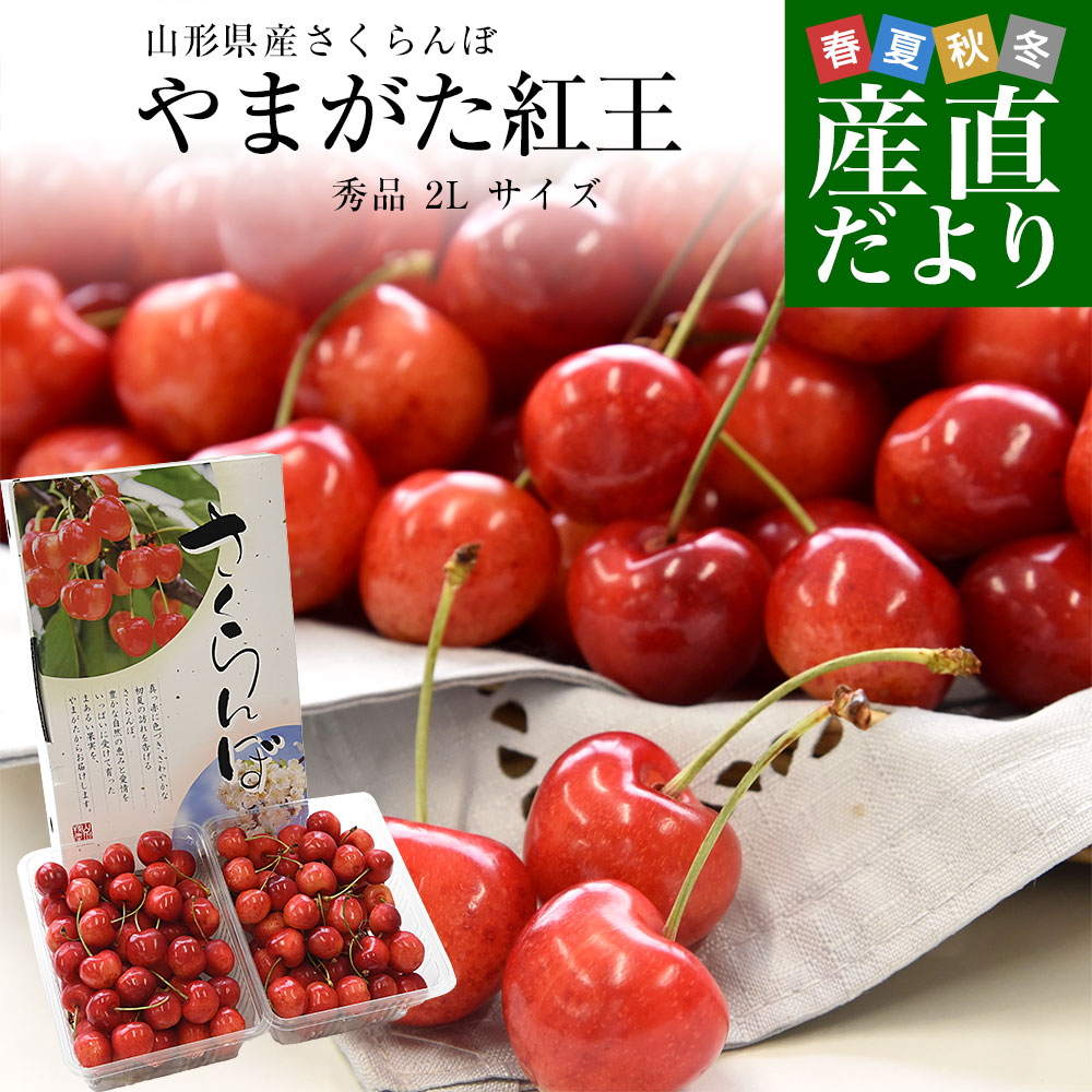 山形県より産地直送 さくらんぼ 「やまがた紅王」 秀品 2L サイズ約1キロ (500g×2)送料無料 クール便 サクランボ桜桃