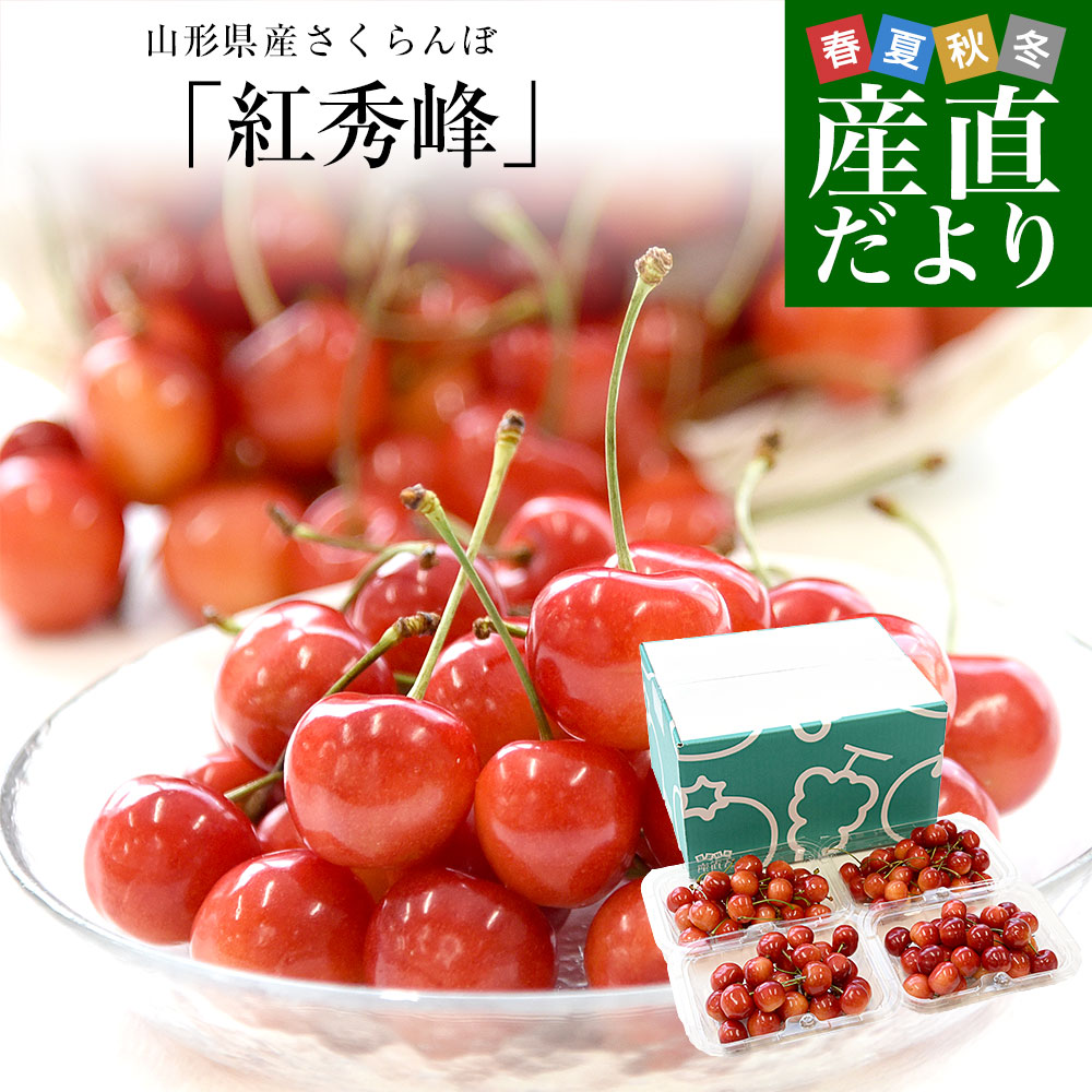 北海道より産地直送 JAきょうわ らいでんスイカ 超特大 秀品5Lサイズ