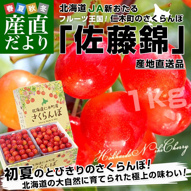 北海道から産地直送 JA新おたる 仁木町のさくらんぼ（佐藤錦