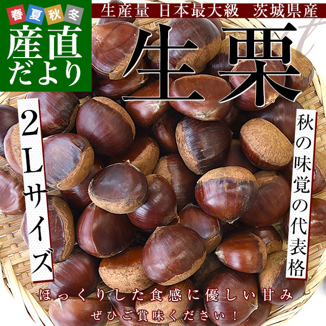 A makaday様　生栗　2キロ 2025シーズン到来】農家こだわりの「濃厚栗」大きめ2Lサイズ以上