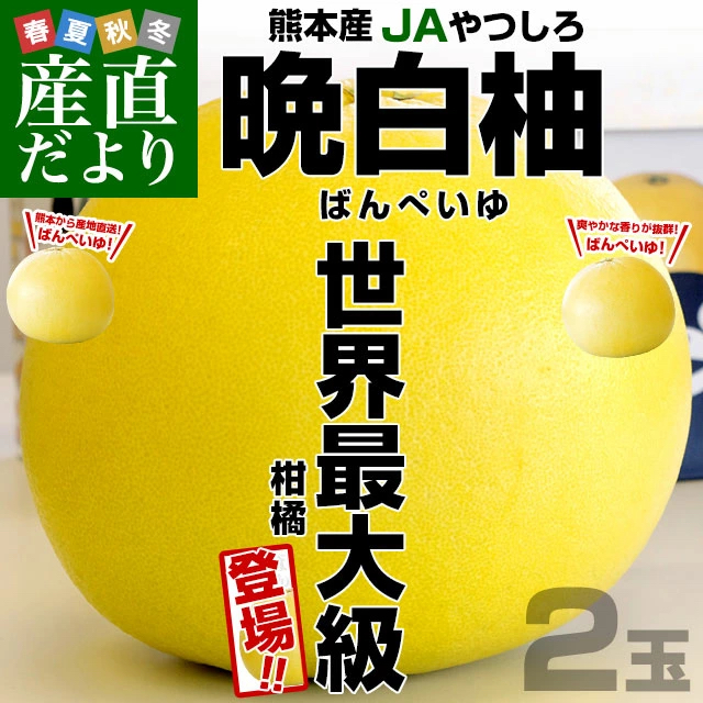 熊本産JAやつしろ 晩白柚 超大玉 2玉入り 4キロから5キロ 送料無料