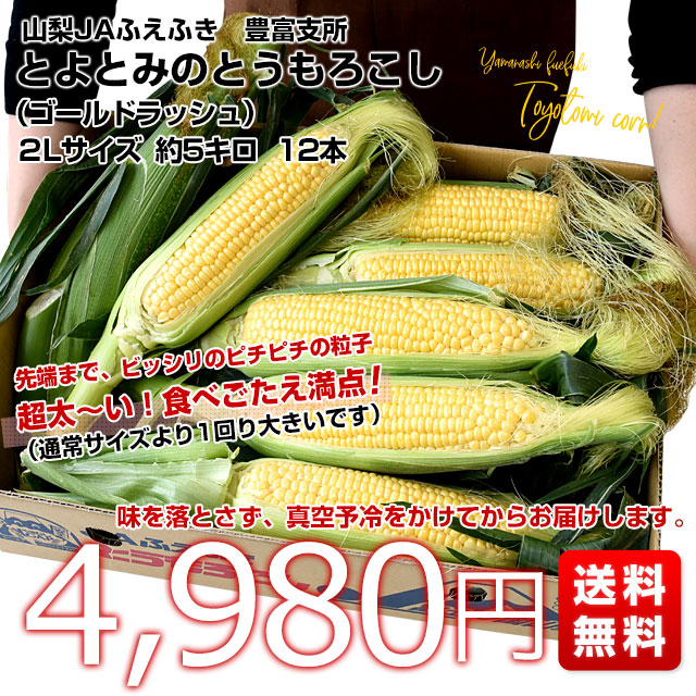 山梨県より産地直送 JAふえふき 豊富支所 とうもろこし (ゴールドラッシュ) 2Lサイズ 約5キロ (12本入り) 送料無料 とよとみ ...