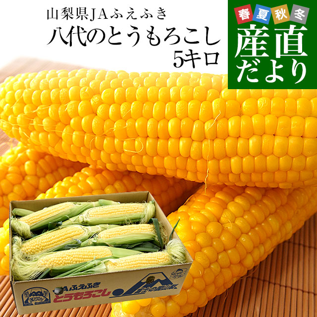 山梨県より産地直送 JAふえふき八代支所 とうもろこし(ゴールドラッシュ) 2LからLサイズ 約5キロ (12本から15本) 送料無料 とうきび ※クール便