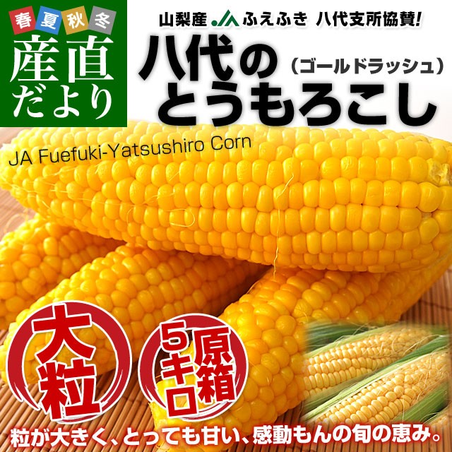 山梨県より産地直送 JAふえふき八代支所 とうもろこし(ゴールド