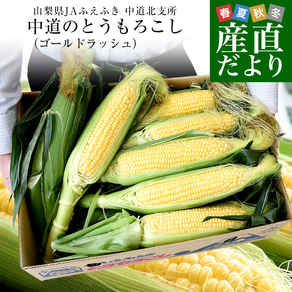 とうもろこしゴールドラッシュ」の人気商品一覧 | 安い商品を通販