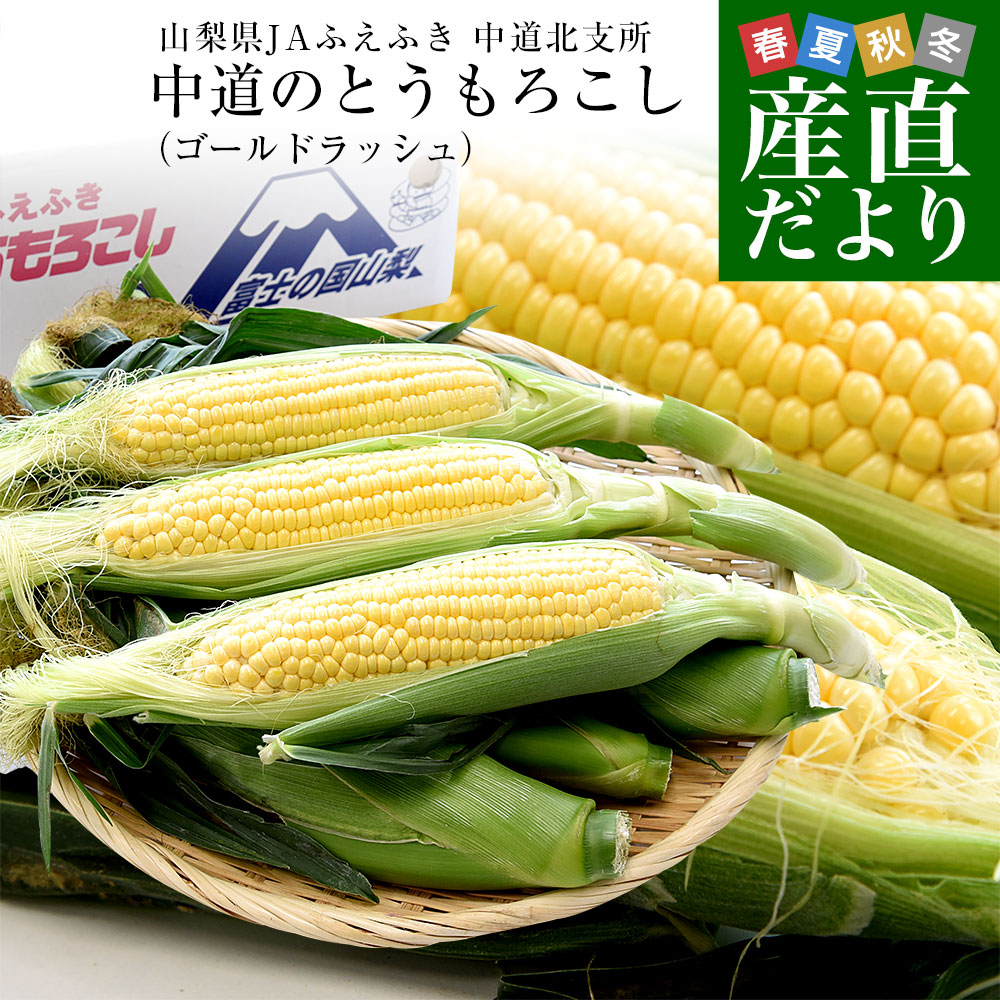 山梨県より産地直送 JAふえふき中道北支所 とうもろこし(ゴールド