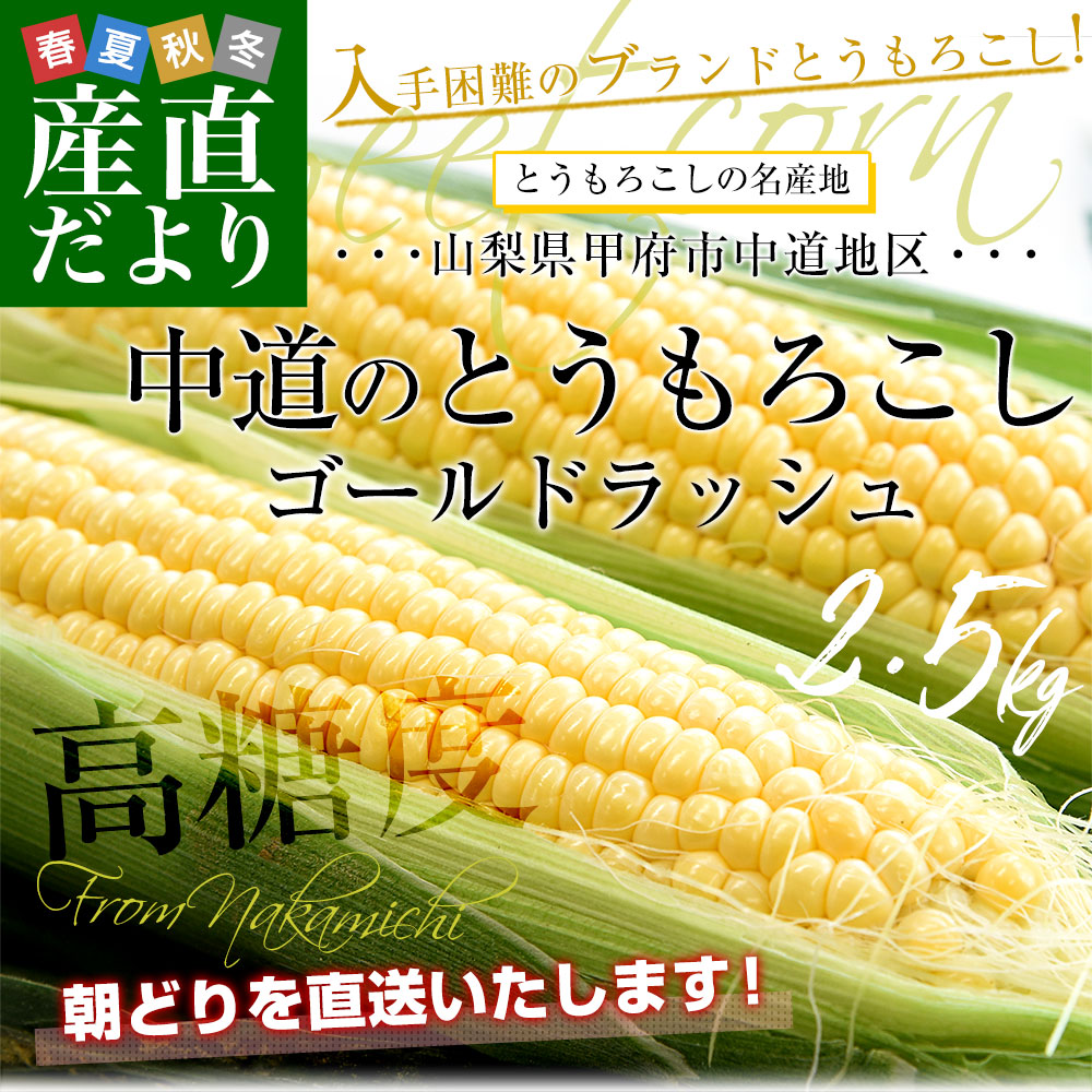 山梨県より産地直送 JAふえふき中道北支所 とうもろこし(ゴールド