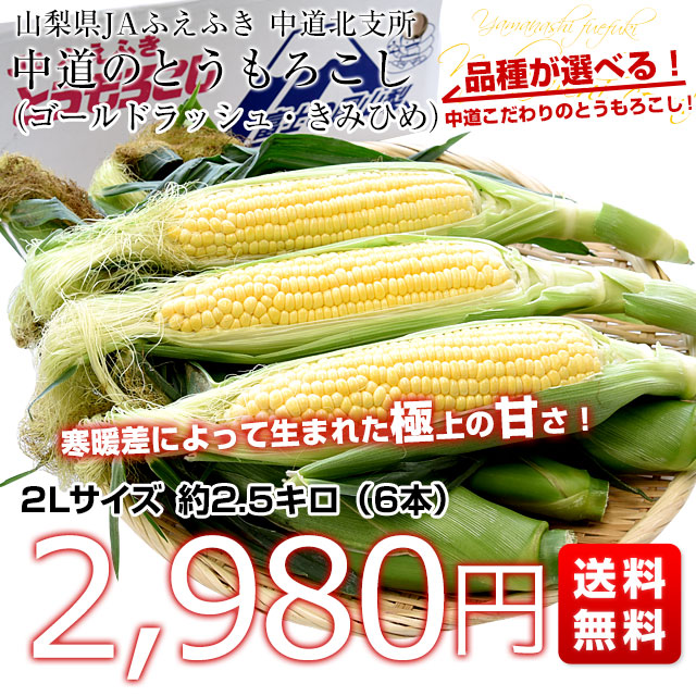 山梨県より産地直送　JAふえふき中道北支所　選べるとうもろこし(ゴールドラッシュ、きみひめ) 約2.5キロ2Lサイズ(6本入)　送料無料　クール便｜sanchokudayori｜03