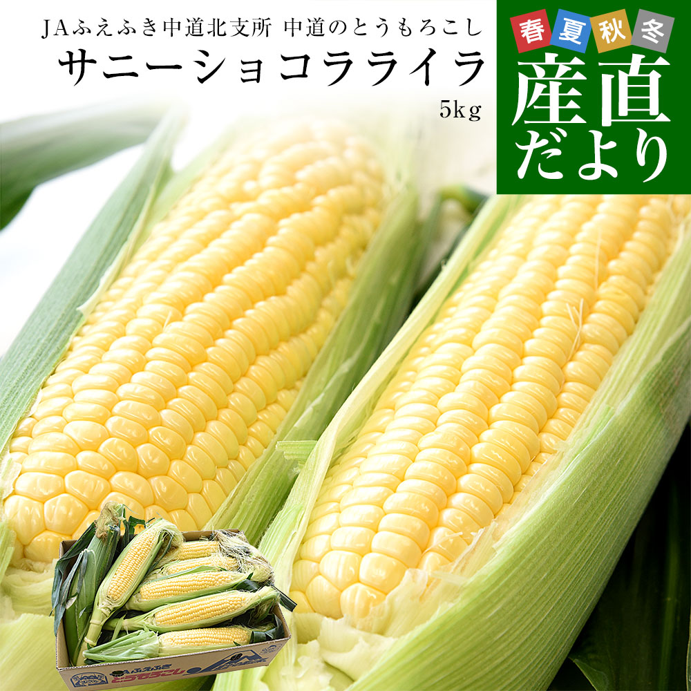 佐賀県より産地直送 JAからつ 自然薯 2本入 約1キロ 送料無料 化粧箱