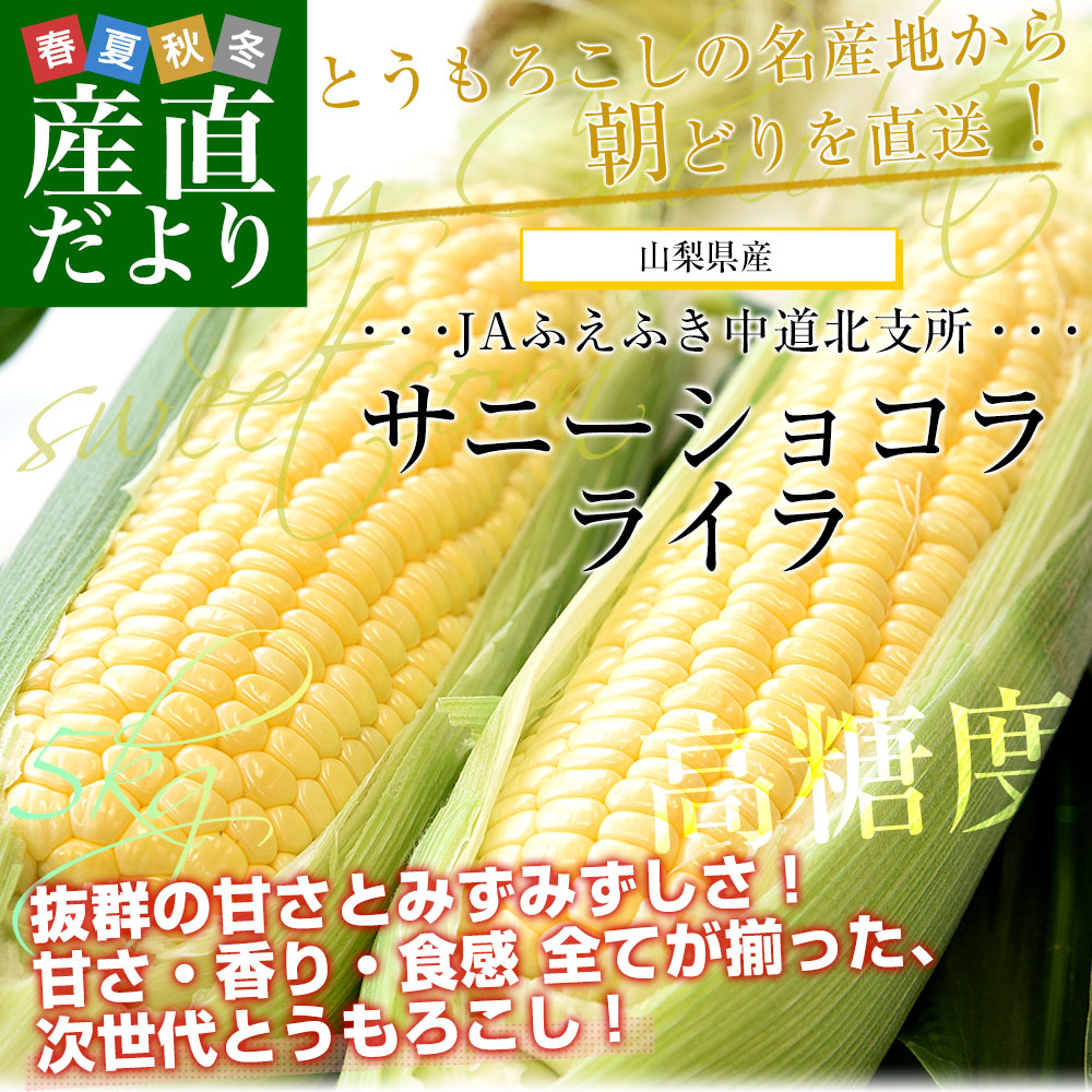 ティエラ様 山梨県産 10kg 新鮮 青梅 甲州小梅 クール便発送 青梅の