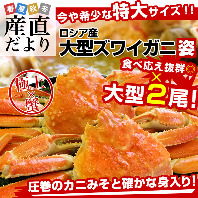 【新年特別価格】北海道より直送 高級ズワイガニ姿 大型サイズ 約1.5キロ（2尾入り）送料無料 ズワイ カニ かに 蟹 ギフト カニみそ |  | 01
