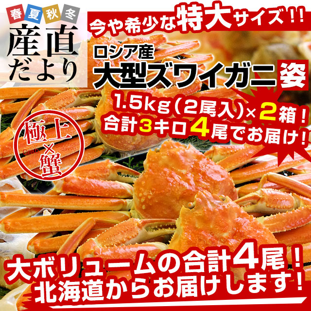 【新年特別価格】北海道より直送 高級ズワイガニ姿 大型サイズ 山盛り 1.5Ｋキロ（2尾入り）×2箱セット （合計3キロ4尾） 送料無料 ズワイ カニ かに 蟹 |  | 01