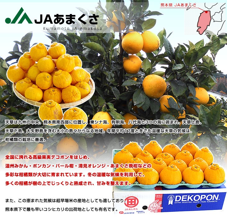 産直だより - JAあまくさ｜Yahoo!ショッピング