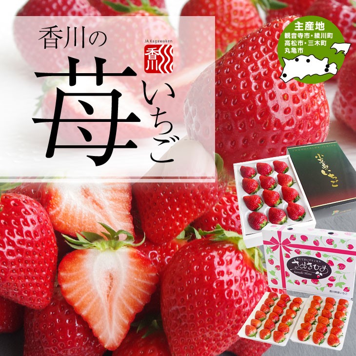 産直だより - いちご｜Yahoo!ショッピング
