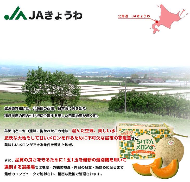 最終値引き　北海道産　あじうり　マクワウリ B品　箱抜き10キロ 残りわずか 大特価 北海道産 あじうり マクワウリ B品 箱抜き10