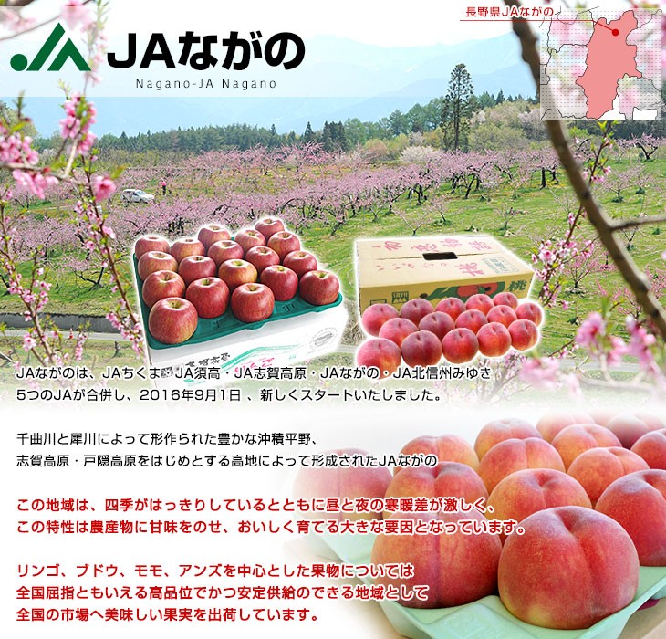 産直だより Jaながの 長野県から産地直送 Yahoo ショッピング