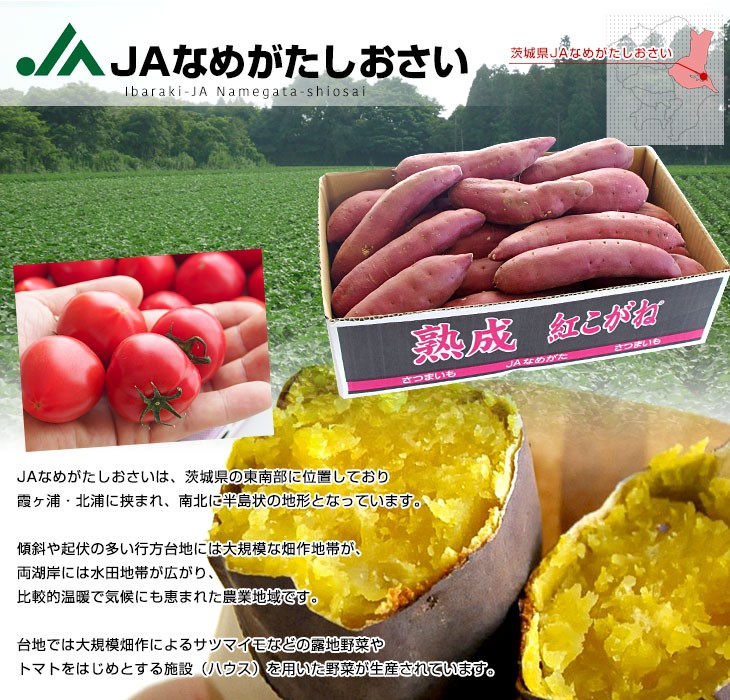 産直だより Jaなめがたしおさい 茨城県から産地直送 Yahoo ショッピング