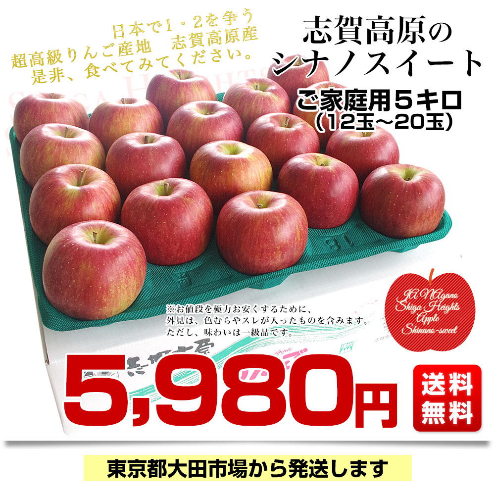 長野県産 JAながの 志賀高原のシナノスイート ご家庭用 約5キロ (12玉