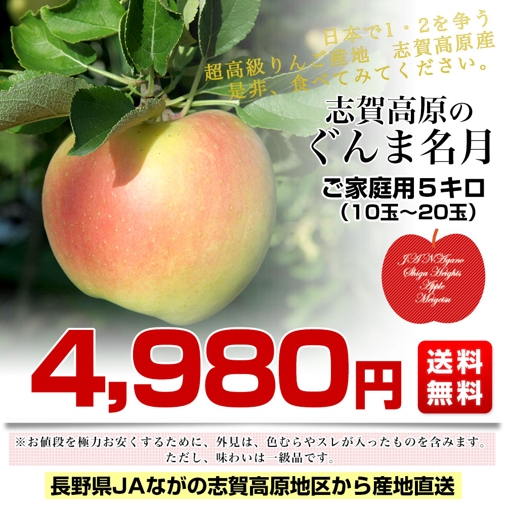 長野県より産地直送 JAながの 志賀高原のぐんま名月 ご家庭用約5キロ (10玉から20玉) 送料無料 林檎 りんご リンゴ めいげつ