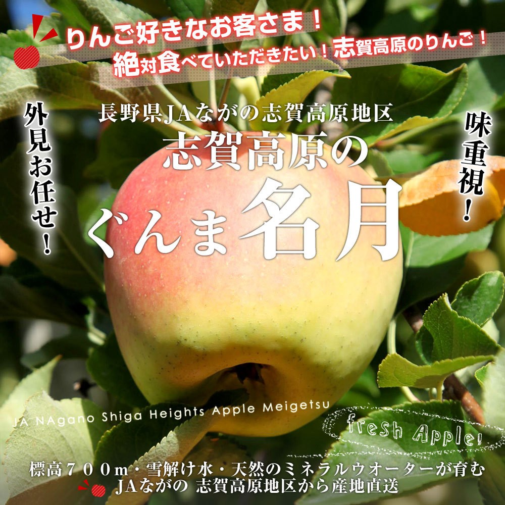 長野県より産地直送 JAながの 志賀高原のぐんま名月 ご家庭用約5キロ (10玉から20玉) 送料無料 林檎 りんご リンゴ めいげつ  :1252122643:産直だより 通販 