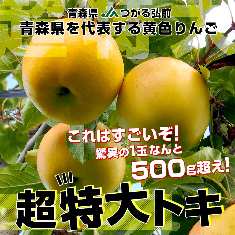 青森県より産地直送 JAつがる弘前 トキ 超大玉 5キロ (9玉から10玉) 送料無料 りんご リンゴ 林檎 :1257141900:産直だより -  通販 - Yahoo!ショッピング