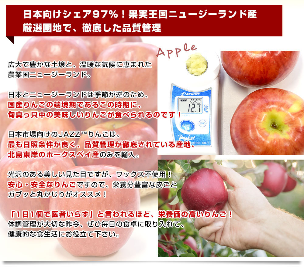 ニュージーランド産 JAZZりんご(品種:サイフレッシュ)約2キロ(11玉から 