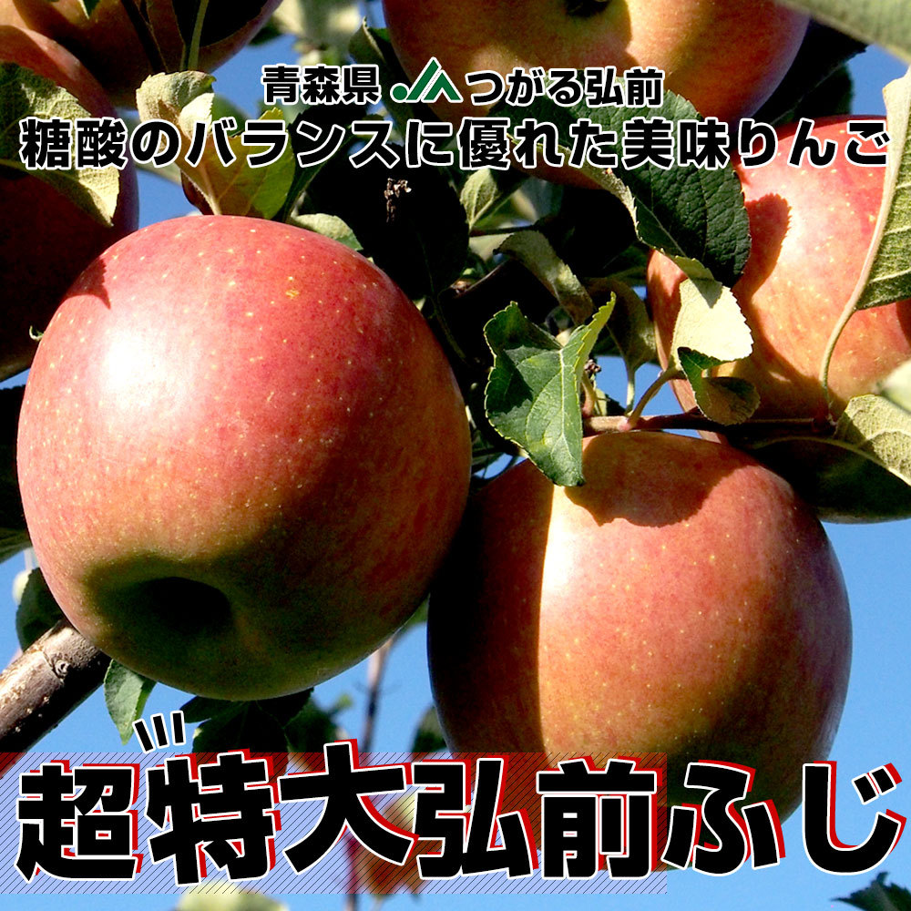 りんご 早生ふじ とき MIX 特A 約3kg 9〜12玉 青森県