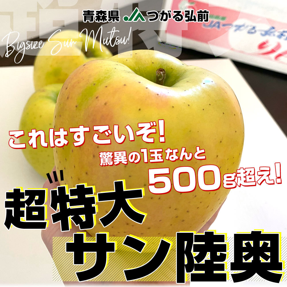 青森県より産地直送 JAつがる弘前 サン陸奥 超大玉 5キロ (9玉から11玉) 送料無料 りんご リンゴ 林檎