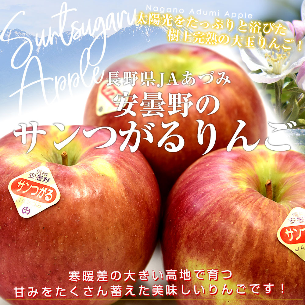 長野県産 JAあづみ 安曇野 サンつがるりんご 優品以上 約3キロ 大玉（8玉から10玉）林檎 りんご 送料無料 クール便