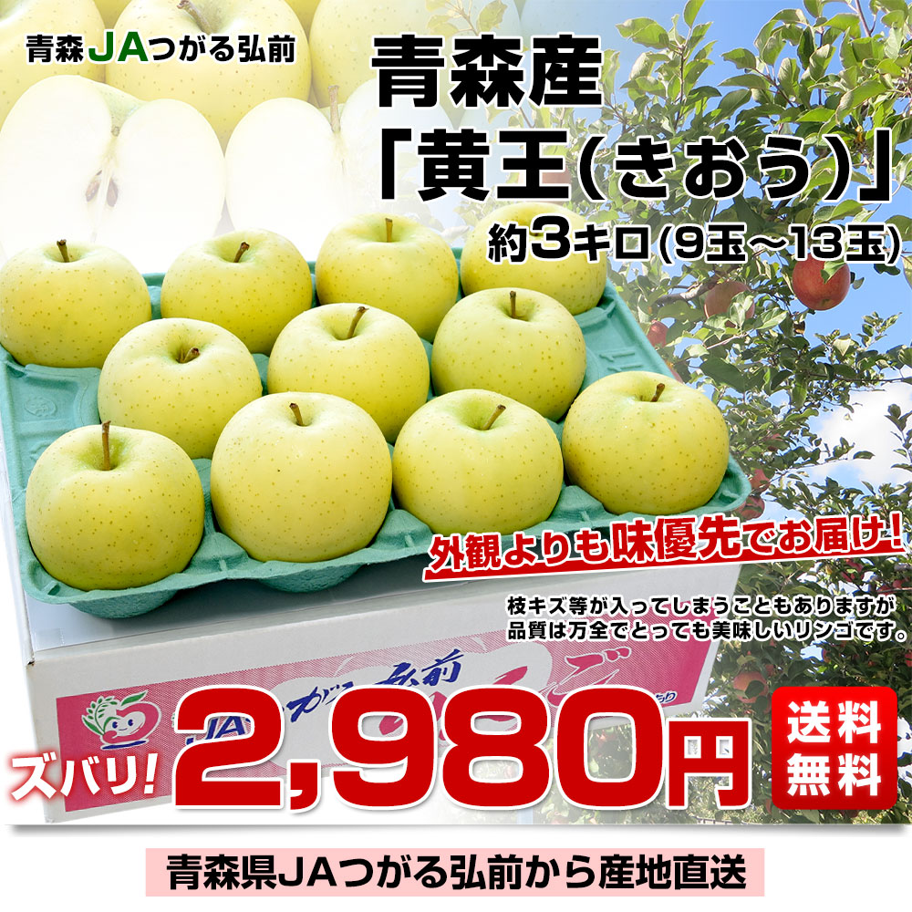 青森県より産地直送 JAつがる弘前 産直りんご 黄王(きおう) 約3キロ (9