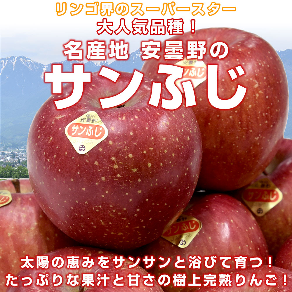 長野県産 JAあづみ 安曇野 サンふじ 約3キロ （8玉から10玉） 送料無料