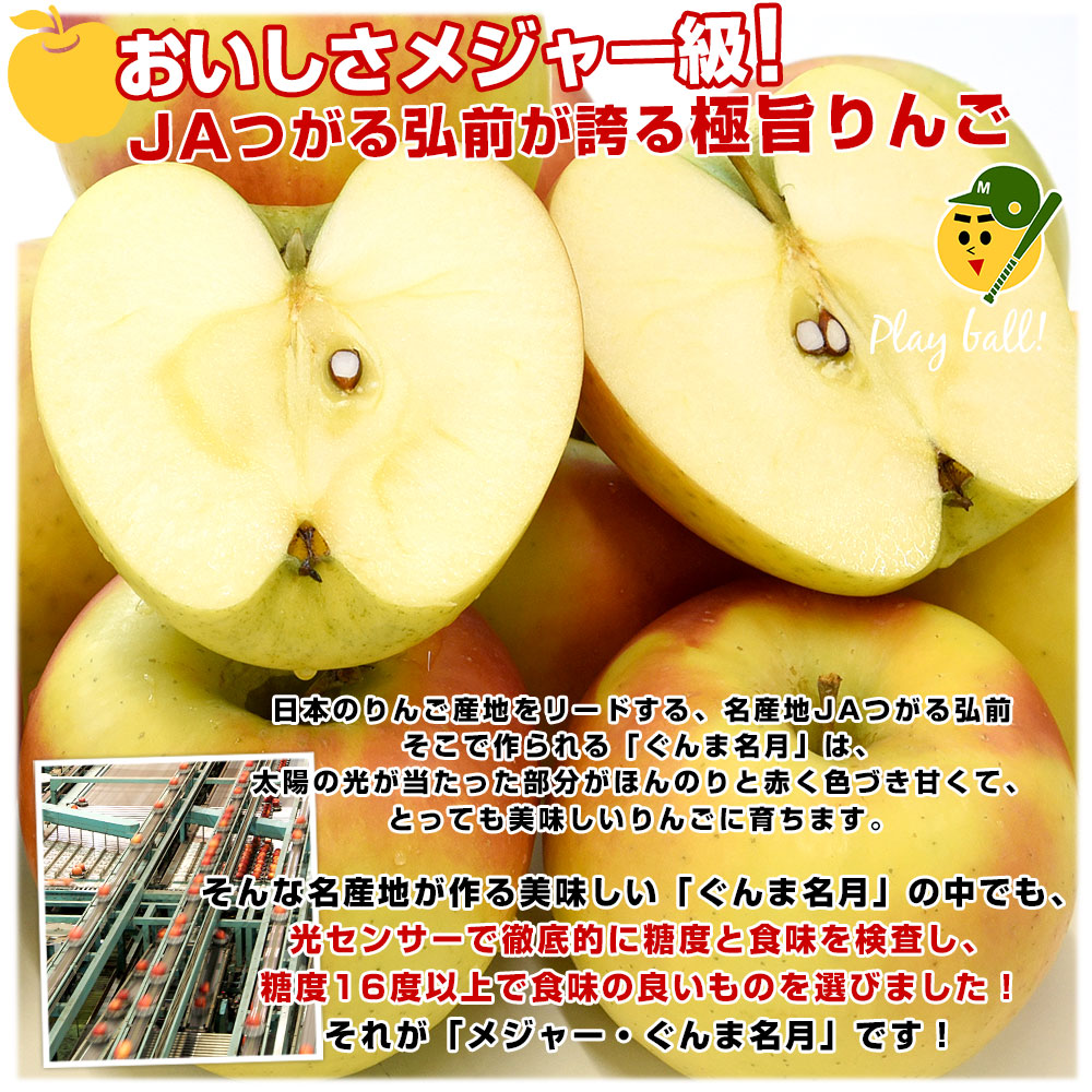 青森県より産地直送 JAつがる弘前 メジャー ぐんま名月 約3キロ（8玉