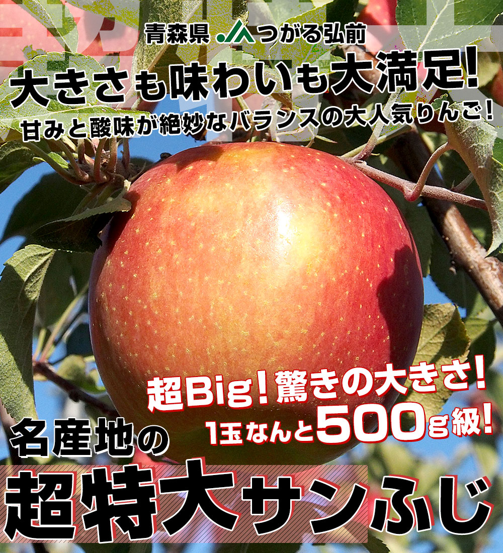 青森県より産地直送 JAつがる弘前 超Big サンふじりんご 超大玉 約5キロ (9玉から11玉) 送料無料 りんご リンゴ 林檎