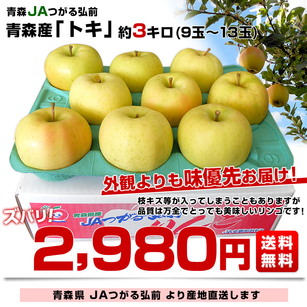 青森県より産地直送 JAつがる弘前 トキ 約3キロ (9玉から13玉) 送料