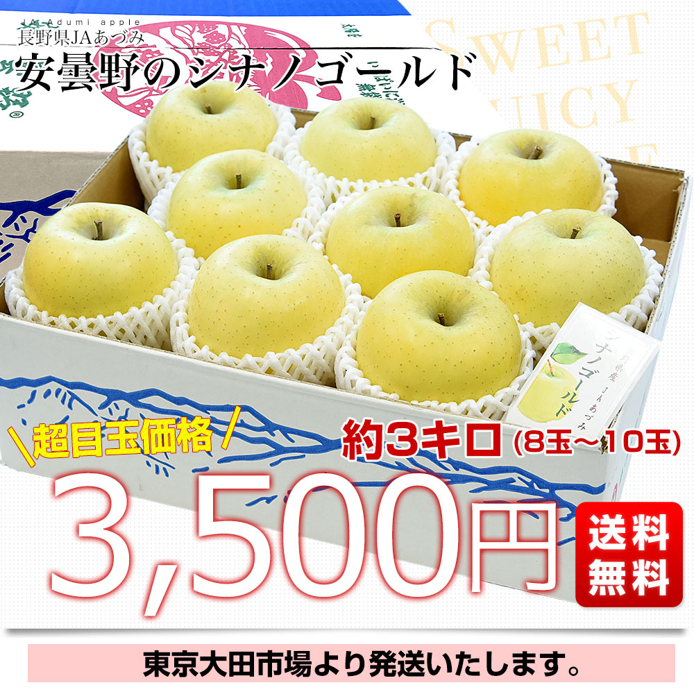 長野県産 JAあづみ 安曇野 シナノゴールド 約3キロ （8玉から10玉） 送料無料 りんご 林檎 市場発送 |  | 02