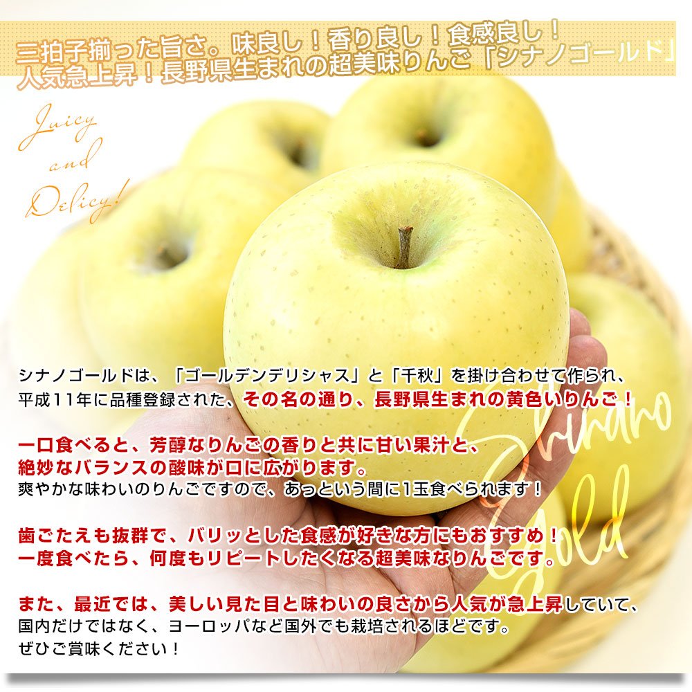 長野県産 JAあづみ 安曇野 シナノゴールド 約3キロ （8玉から10玉） 送料無料 りんご 林檎 市場発送 |  | 03