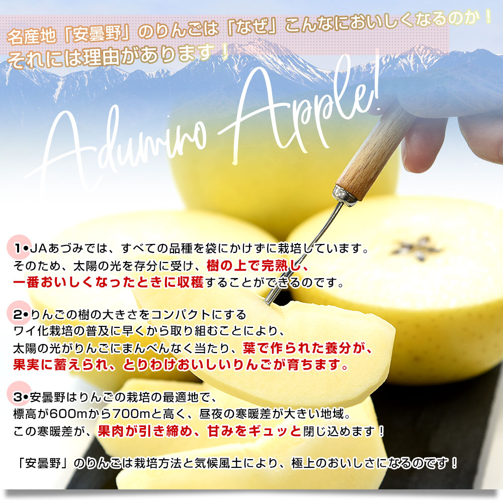 長野県産 JAあづみ 安曇野 シナノゴールド 約3キロ （8玉から10玉） 送料無料 りんご 林檎 市場発送 |  | 04
